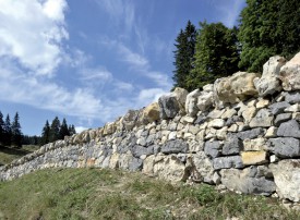 Mur en pierres sèches dans le Brassus. ©Michel Duperrex